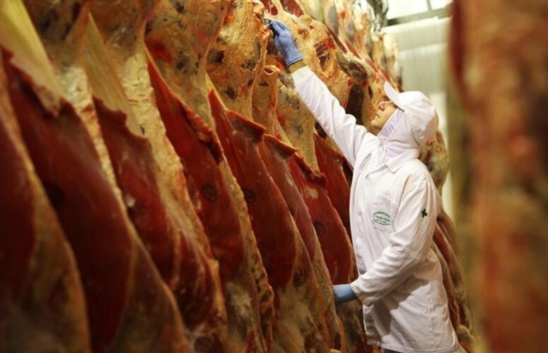 Exportações de carne bovina têm aumento de 10% no resultado parcial de outubro