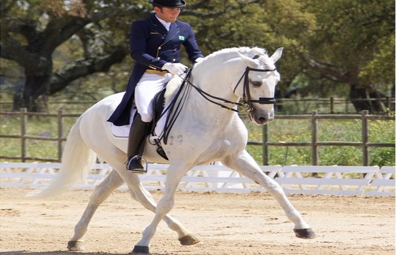 Definido o Time Brasil de Adestramento para o WEG 2018