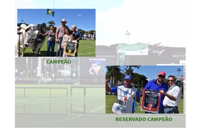 RESULTADO DO CAMPEONATO TABAPUÃ - CATEGORIA PROGÊNIE DE MÃE