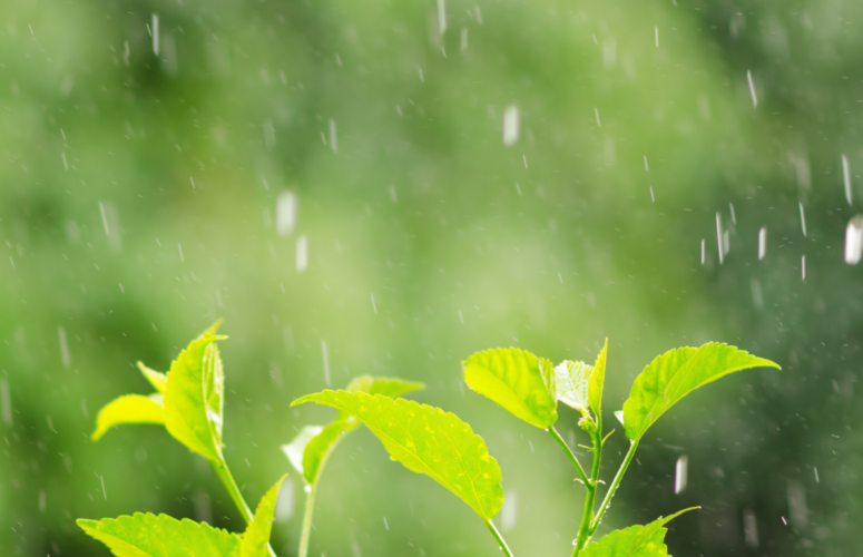 Semana começa com chuva em várias áreas; confira previsão do tempo para 2ª e 3ª