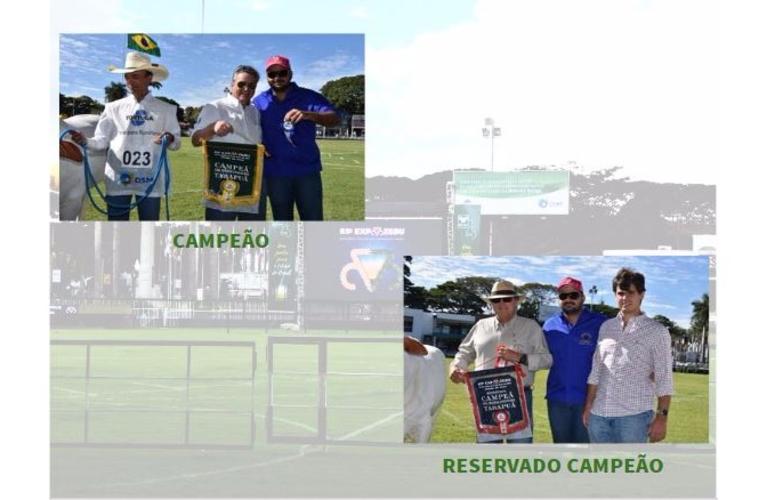 RESULTADO DO CAMPEONATO TABAPUÃ - CATEGORIA PROGÊNIE JOVEM DE MÃE