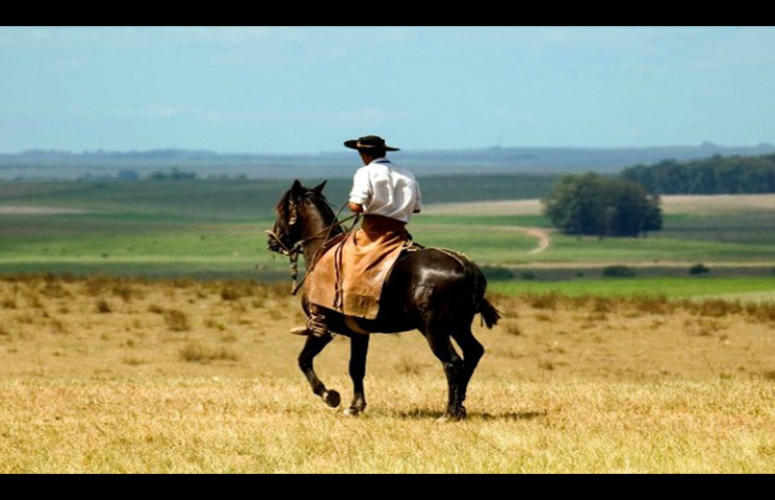 RS: Agricultura lança aplicativo para criadores de cavalos