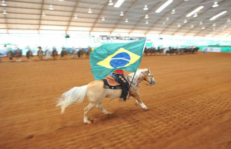 A evolução dos esportes equestres e o emprego