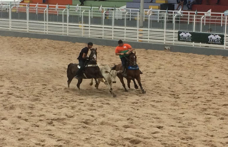 Bem-estar animal é prioridade na Vaquejada