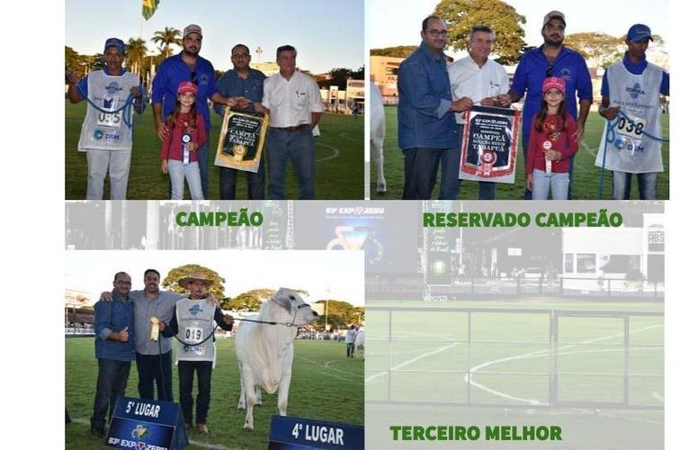 RESULTADO DO CAMPEONATO TABAPUÃ - CATEGORIA NOVILHA MENOR