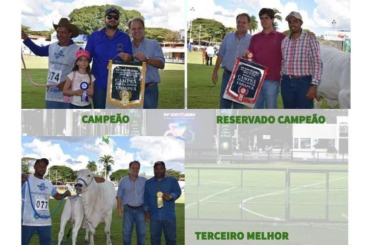 RESULTADO DO CAMPEONATO TABAPUÃ - CATEGORIA FÊMEA JOVEM