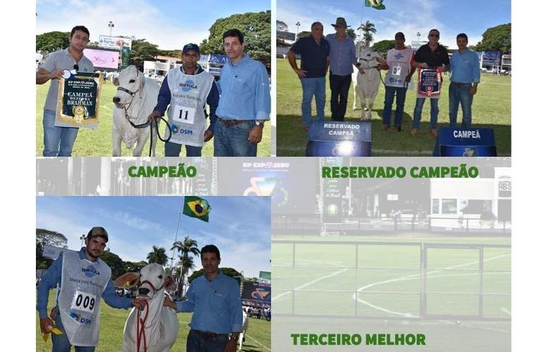 RESULTADO DO CAMPEONATO BRAHMAN - BEZERRA