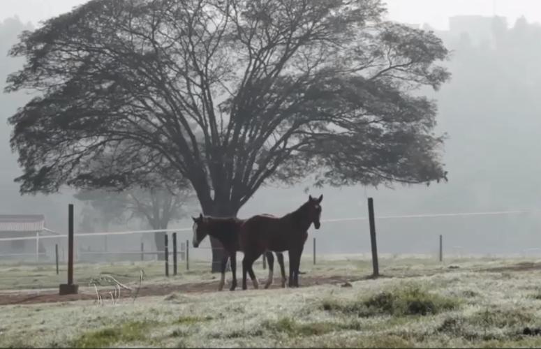 Aqueça o seu cavalo neste inverno