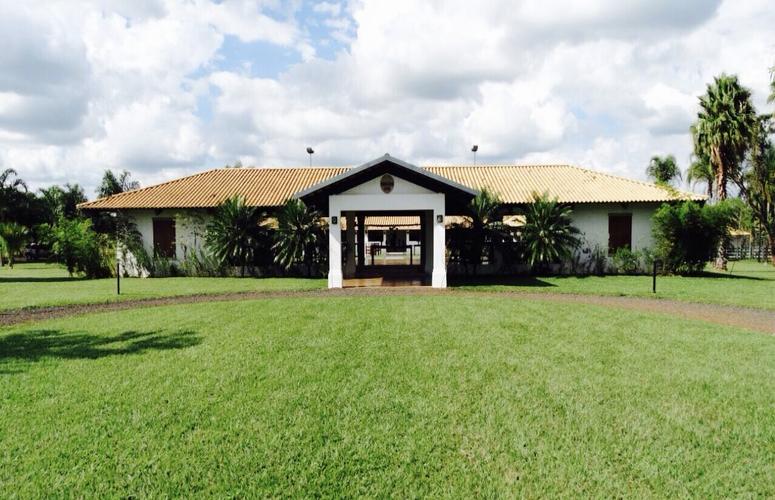 Leilão Noite do Nelore Nacional completa 29 anos de sucesso