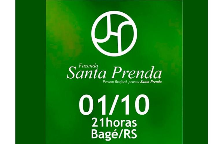 Santa Prenda oferta 150 touros e ventres da raça Braford