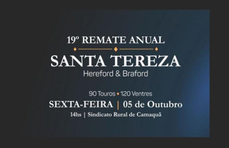 Fazenda Santa Tereza oferta 90 touros e 120 ventres