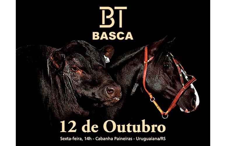 6º Leilão BT Basca oferta descendentes da elite Angus