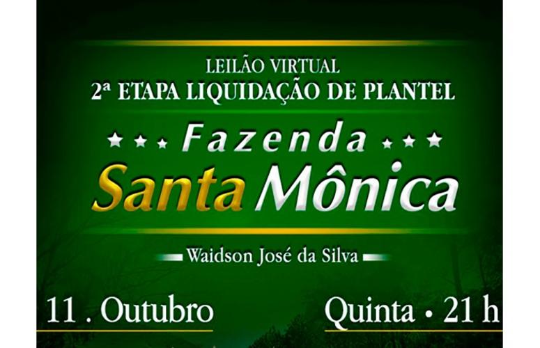 Santa Mônica promove liquidação de plantel