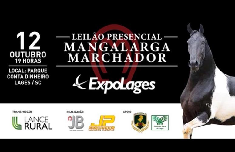 Cavalos marchadores são as estrelas durante a Expolages