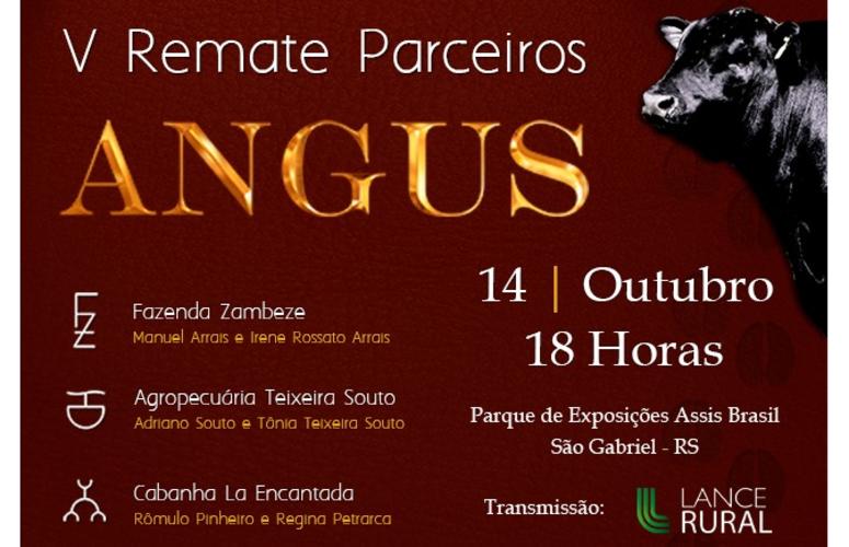 Parceiros se unem para realizar leilão de Angus