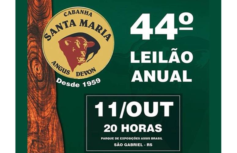 Remate oferta animais das raças Angus, Devon e Crioula