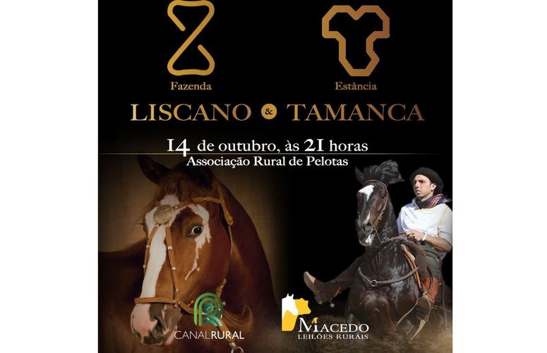 Liscano & Estância Tamanca trazem o melhor da raça Crioula