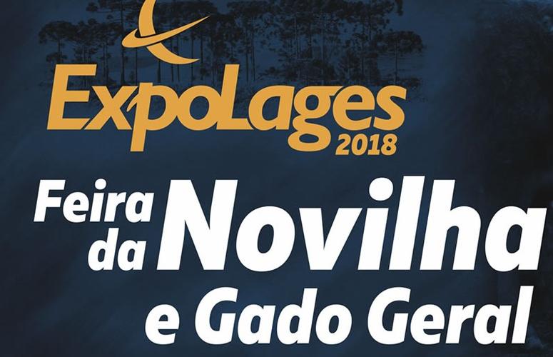 Feira da Novilha e Gado Geral oferta mais de 800 animais