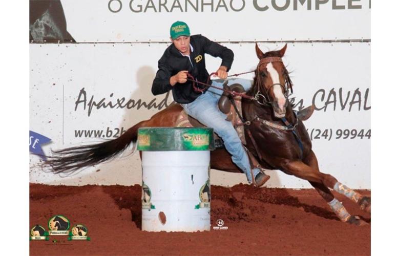 Londrina recebe o Potro do Futuro da raça Quarto de Milha 