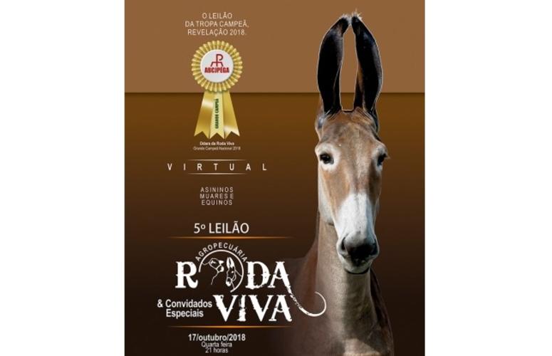 Agropecuária Roda Viva oferta asininos, muares e equinos