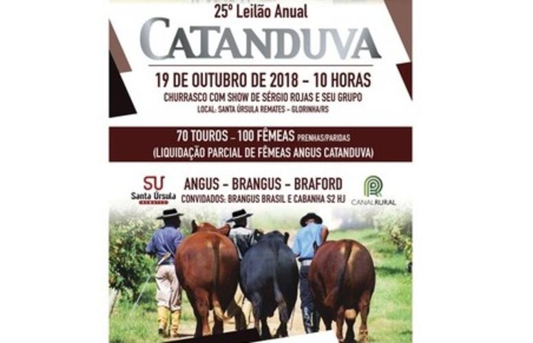 25° Leilão Cabanha Catanduva marca os trinta anos da propriedade