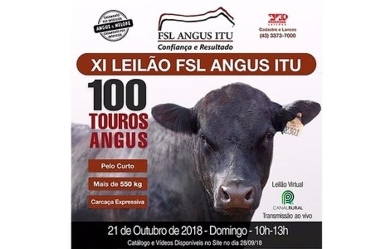 FSL Angus Itu oferta cruzamento entre as raças Angus e Nelore 