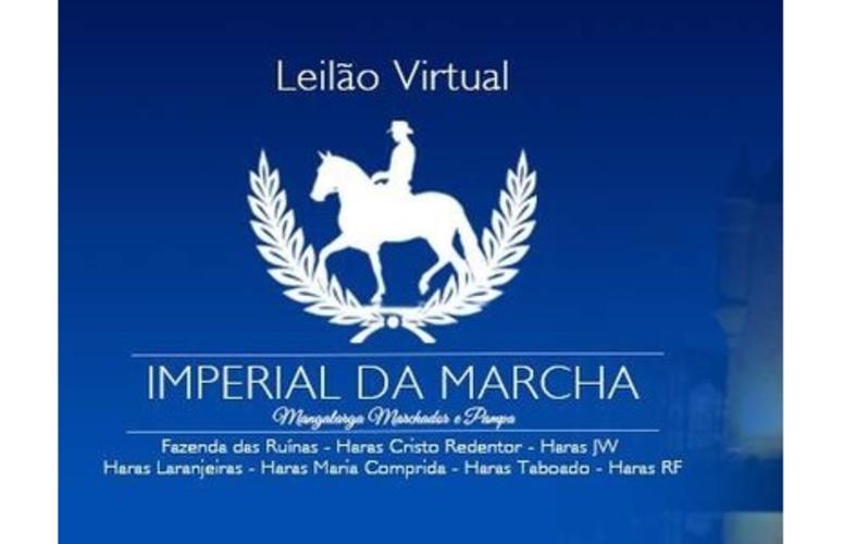 Imperial da Marcha traz cavalos Mangalarga Marchador e Pampa