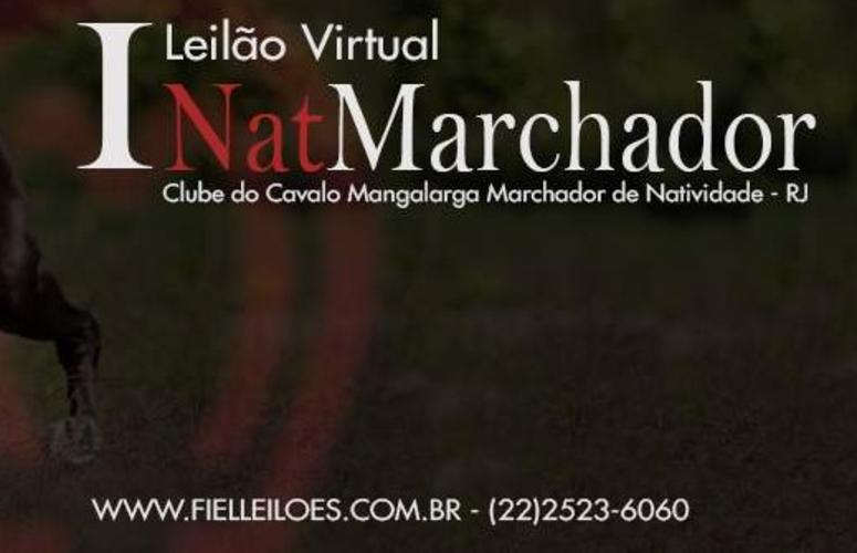 NatMarchador realiza seu 1ª leilão e oferta tropa de qualidade