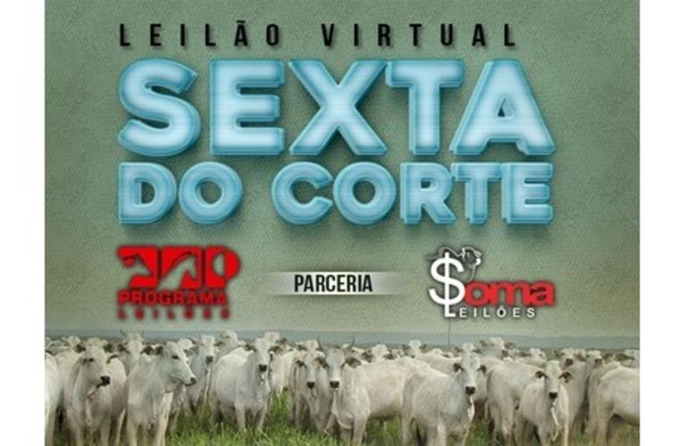 Leilão de Gado de Corte encerra agenda de novembro do Canal Rural