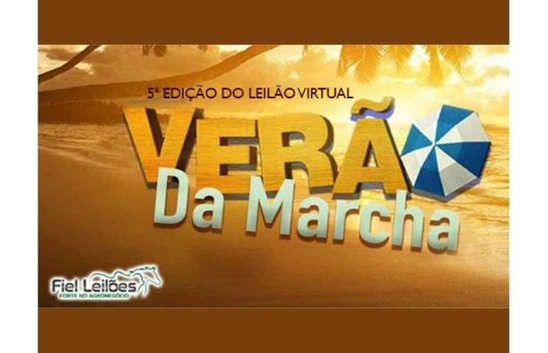 Verão da Marcha oferta 35 lotes de animais Mangalarga Marchador