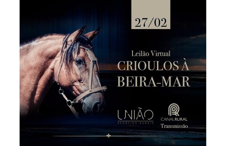 Canal Rural transmite 8º Leilão Crioulos à Beira Mar no próximo dia 27