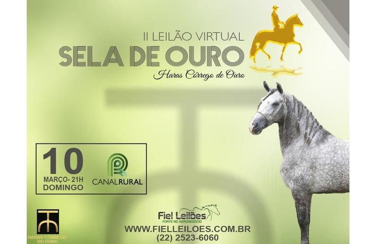 Haras Córrego de Ouro oferta 34 lotes da raça Mangalarga Marchador