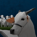 Banner - Leilão Especial Semana do Zebu - Vila Real 2° Etapa 