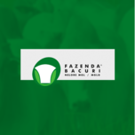 Banner - FAZENDA BACURI
