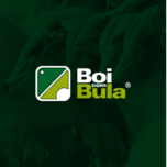 Banner - 8º LEILÃO VIRTUAL BOI COM BULA