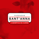 Banner - 31º LEILÃO VIRTUAL FAZENDAS SANT ANNA