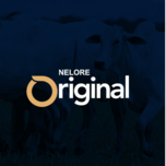 Banner - LEILÃO MATRIZES NELORE ORIGINAL