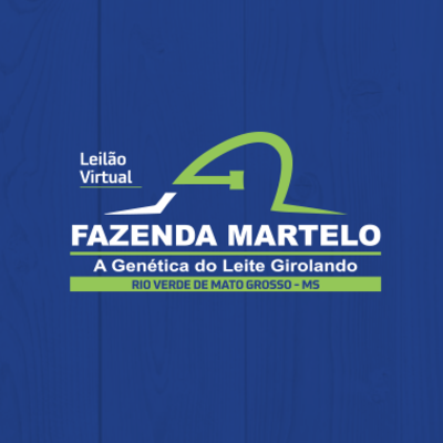 LEILÃO VIRTUAL FAZENDA MARTELO