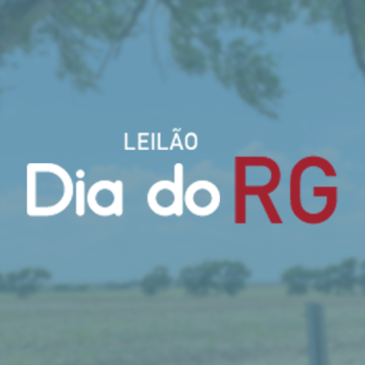 LEILÃO DIA DO RG