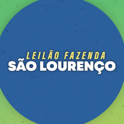 LEILÃO VIRTUAL TOUROS FAZENDA SÃO LOURENÇO