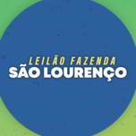 Banner - LEILÃO VIRTUAL TOUROS FAZENDA SÃO LOURENÇO