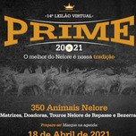 Banner - 14º LEILÃO VIRTUAL PRIME