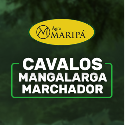 LEILÃO VIRTUAL AGRO MARIPÁ - MANGALARGA MACHADOR