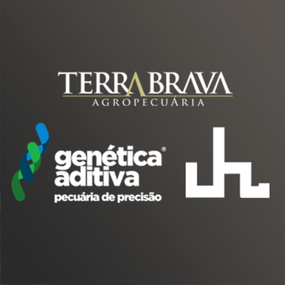 3º LEILÃO TERRA BRAVA - CAMPARINO E GENÉTICA ADITIVA 