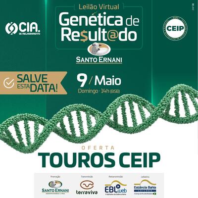 LEILÃO VIRTUAL GENÉTICA DE RESULTADO SANTO ERNANI