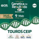 Banner - LEILÃO VIRTUAL GENÉTICA DE RESULTADO SANTO ERNANI