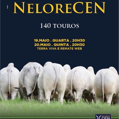 LEILÃO TOUROS NELORE CEN - 2° ETAPA