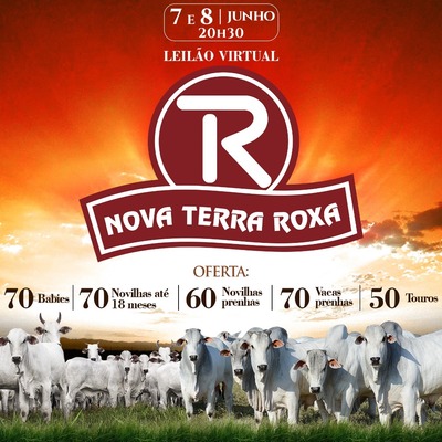 LEILÃO VIRTUAL NOVA TERRA ROXA