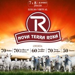 Banner - LEILÃO VIRTUAL NOVA TERRA ROXA