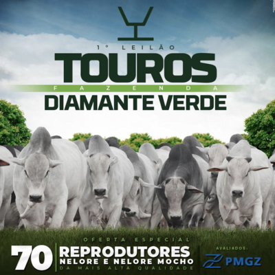 1° LEILÃO TOUROS FAZENDA DIAMANTE VERDE